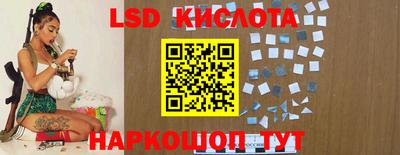 гидропоника Боровичи