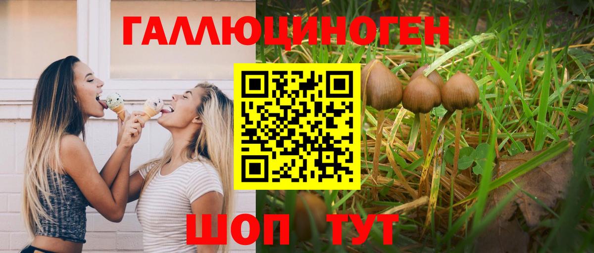 Галлюциногенные грибы Magic Shrooms Гудермес