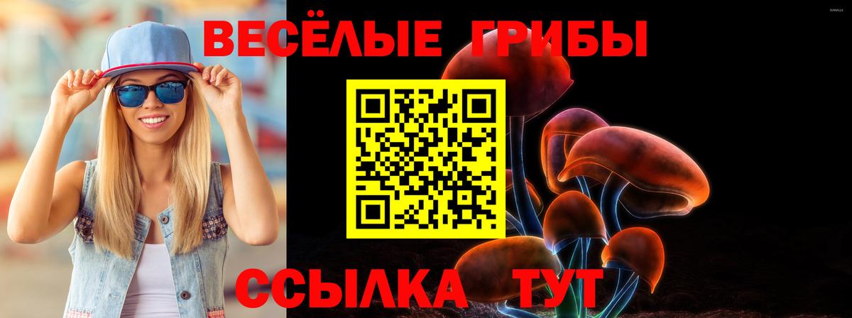 Галлюциногенные грибы мицелий  Вход с VPN  Гудермес 